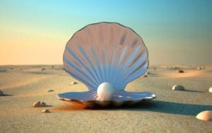 Shell with a pearl